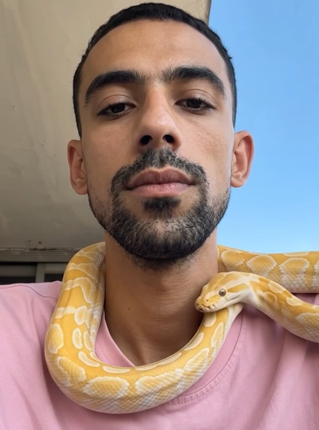 محمد مدحت